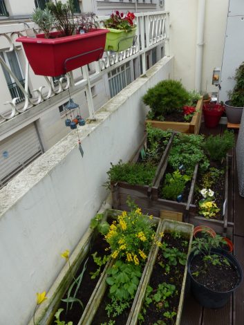 jardin au 1er étage à côté de la Forge