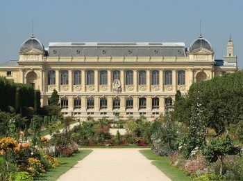 jardin des plantes